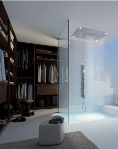 Walk-in closet with shower inside. - MyHouseIdea